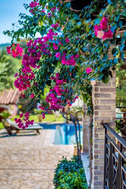 Villa Elea Λιθακιά Εξωτερικό φωτογραφία