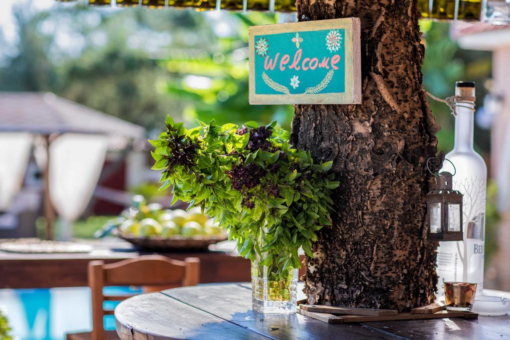 Villa Elea Λιθακιά Εξωτερικό φωτογραφία